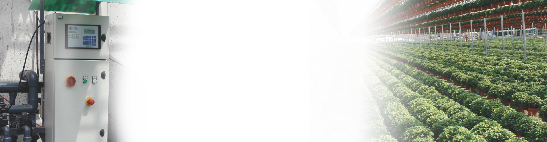 bg9
